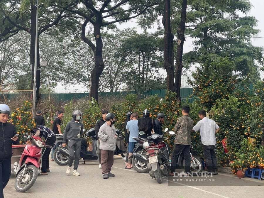 Bài viết 1